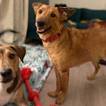 Thumbnail photo of Peaches #3