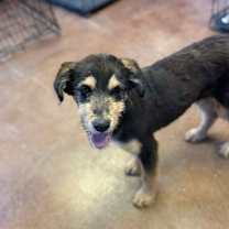 Thumbnail photo of Karl #3