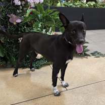 Thumbnail photo of Paulino #2