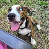 Thumbnail photo of Jersey #3