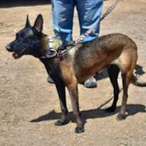 Thumbnail photo of Bonnie Bell in New Mexico #1