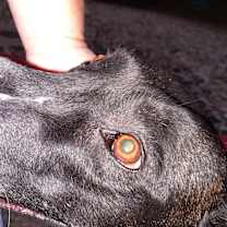 Thumbnail photo of Bonnie Bell in New Mexico #4