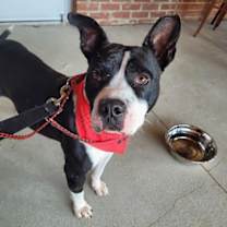 Thumbnail photo of Beetlejuice  A047632 #3