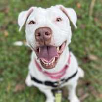 Thumbnail photo of Winter #1