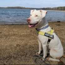 Thumbnail photo of Winter #2