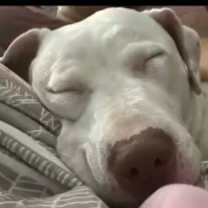 Thumbnail photo of Winter #3