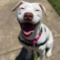 Thumbnail photo of Winter #4