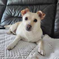 Thumbnail photo of Victor #3