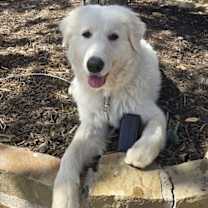 Thumbnail photo of Oakley #3