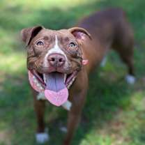 Thumbnail photo of Magdalena #1