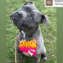 Thumbnail photo of Jakar #1