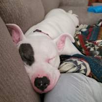 Thumbnail photo of Delilah #4