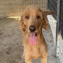 Thumbnail photo of Candy #1