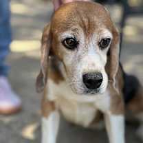 Thumbnail photo of Mason #1