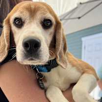 Thumbnail photo of Mason #2