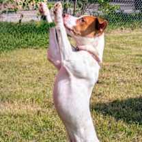 Thumbnail photo of Oliver #1