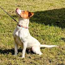 Thumbnail photo of Oliver #2