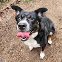 Thumbnail photo of Sophie #1