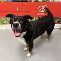 Thumbnail photo of Sophie #2