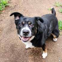 Thumbnail photo of Sophie #3