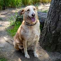 Thumbnail photo of TUCK #1