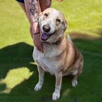 Thumbnail photo of TUCK #2