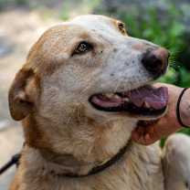 Thumbnail photo of TUCK #4