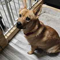 Thumbnail photo of Sofie #2