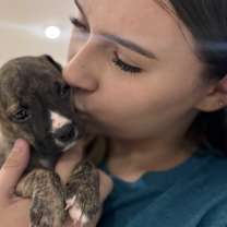 Thumbnail photo of Bellatrix Ann Marie #2