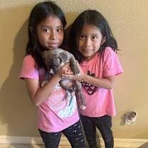 Thumbnail photo of Bellatrix Ann Marie #4