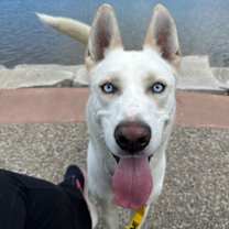 Thumbnail photo of Hazy #1