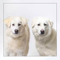 Thumbnail photo of Christy #2