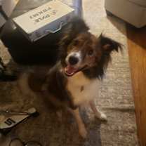 Thumbnail photo of Renly #1