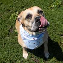 Thumbnail photo of Lilah #1