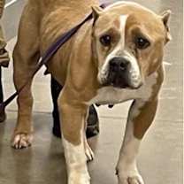 Thumbnail photo of Nyla #2