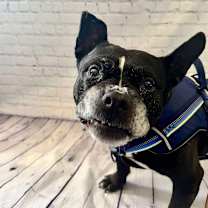 Thumbnail photo of Leonard #3