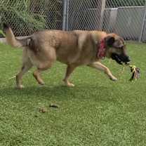 Thumbnail photo of Sienna #2