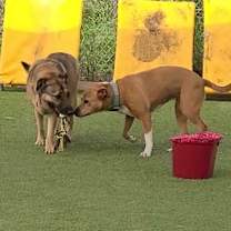 Thumbnail photo of Sienna #3