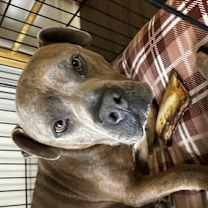 Thumbnail photo of Zeus #2