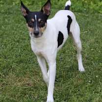 Thumbnail photo of Chance #1