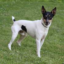 Thumbnail photo of Chance #2