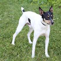 Thumbnail photo of Chance #3