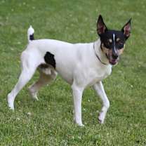 Thumbnail photo of Chance #4