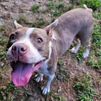 Thumbnail photo of Amity #2