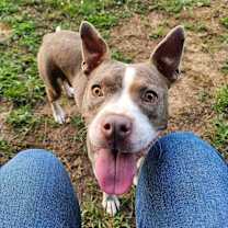 Thumbnail photo of Amity #4