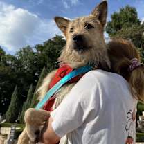 Thumbnail photo of Hudson (HDS) #3