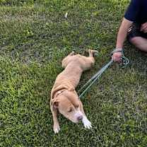 Thumbnail photo of Norma #4