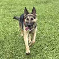 Thumbnail photo of Zeus 3122 #2