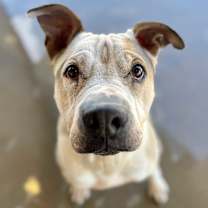 Thumbnail photo of Freddie #3