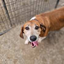 Thumbnail photo of Crosby #2